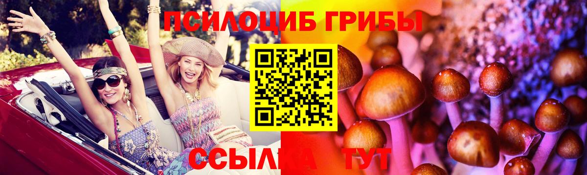 где купить   Вход с VPN  Электрогорск  Галлюциногенные грибы Magic Shrooms  Галлюциногенные грибы Psilocybe 